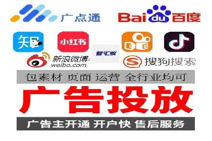 百度竞价广告投放全解析：成功案例揭秘